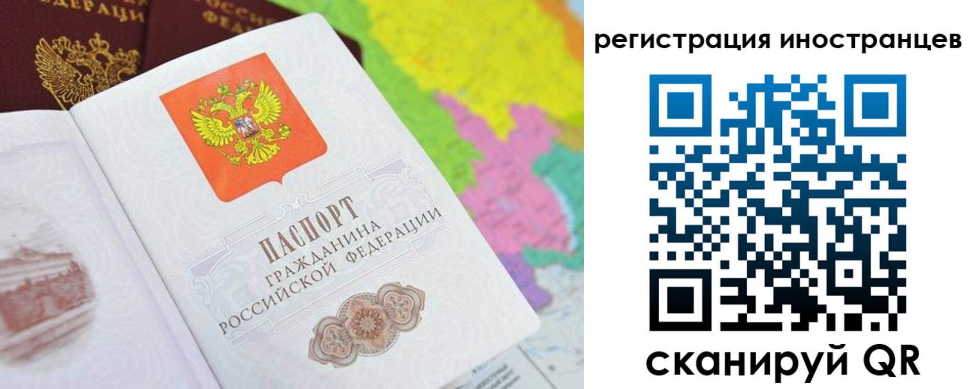 временная регистрация поиск в Электрогорске