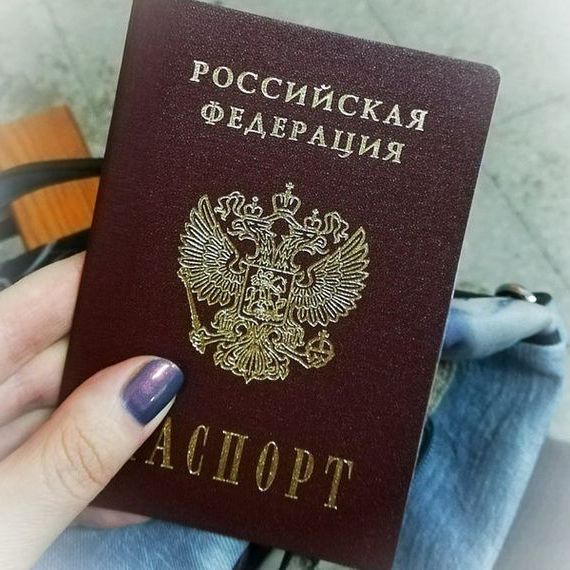 прописка в Электрогорске